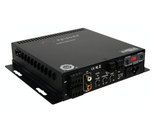 Digital Subwoofer Mini Amplifier | 100W x 1 Channels