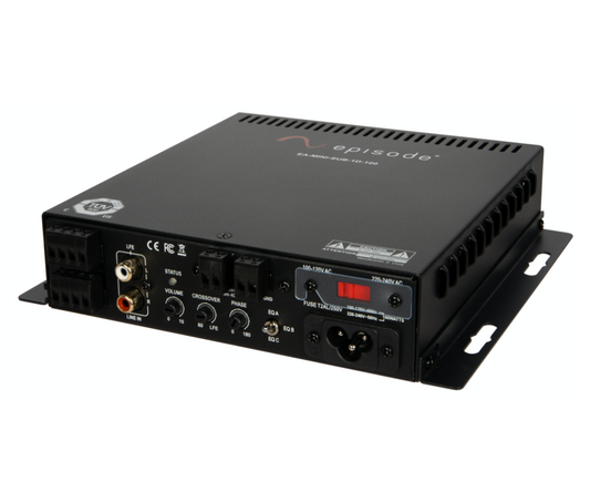 Digital Subwoofer Mini Amplifier | 100W x 1 Channels