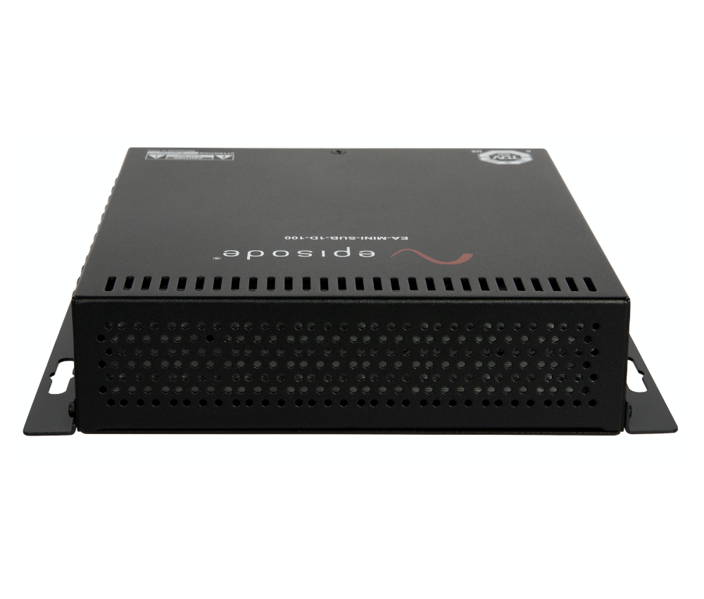 Digital Subwoofer Mini Amplifier | 100W x 1 Channels